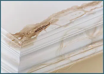 Pompano Beach Restoration Company Pompano Beach, FL 561-246-6503 - city-page-water-leaks