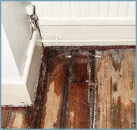 Pompano Beach Restoration Company Pompano Beach, FL 561-246-6503 - content-ser-water-damage