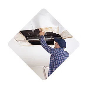 Pompano Beach Restoration Company Pompano Beach, FL 561-246-6503 - sb-ser-01