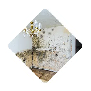 Pompano Beach Restoration Company Pompano Beach, FL 561-246-6503 - sb-ser-03